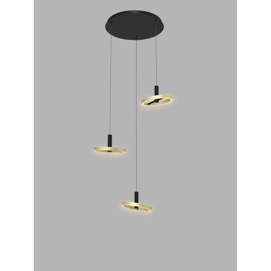 Wofi 5016-304 - Led Dimmable κρεμαστό φωτιστικό οροφής BREST LED/26W/230V μαύρο/χρυσαφί