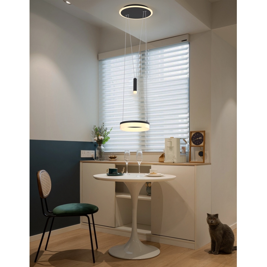 Wofi 6054-302 - Ρυθμιζόμενο LED φωτιστικό οροφής με καλώδιο JESSE LED/15,5W/230V μαύρο