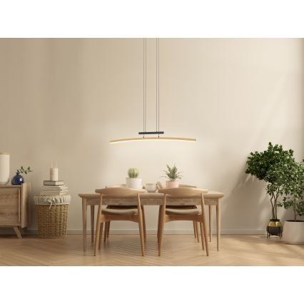 Wofi 7020-106 - Led Dimmable κρεμαστό φωτιστικό οροφής BOLOGNA LED/27W/230V