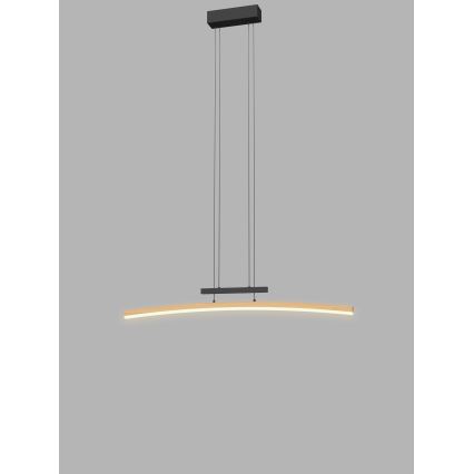 Wofi 7020-106 - Ρυθμιζόμενο LED φωτιστικό οροφής με καλώδιο BOLOGNA LED/27W/230V