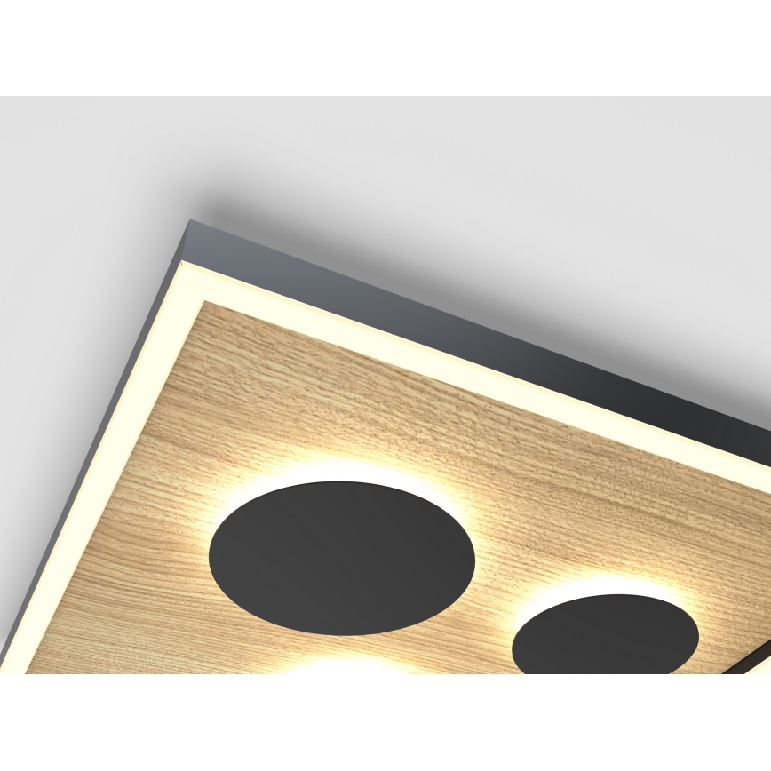 Wofi 9012-306L - LED Ρυθμιζόμενο Φωτιστικό Οροφής DIJON LED/40W/230V