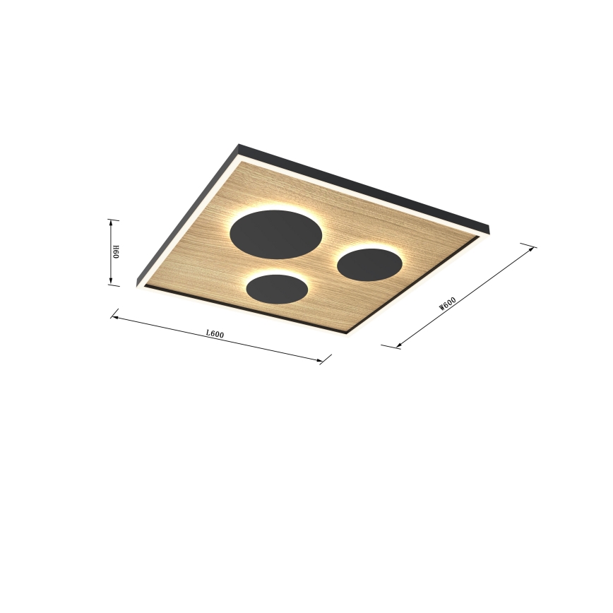 Wofi 9012-306L - LED Ρυθμιζόμενο Φωτιστικό Οροφής DIJON LED/40W/230V