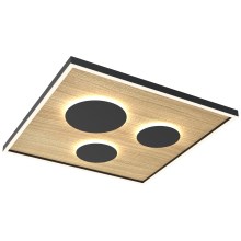 Wofi 9012-306L - LED Dimmable φωτιστικό οροφής DIJON LED/40W/230V