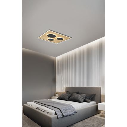 Wofi 9012-306L - LED Dimmable φωτιστικό οροφής DIJON LED/40W/230V