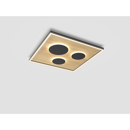 Wofi 9012-306L - LED Dimmable φωτιστικό οροφής DIJON LED/40W/230V