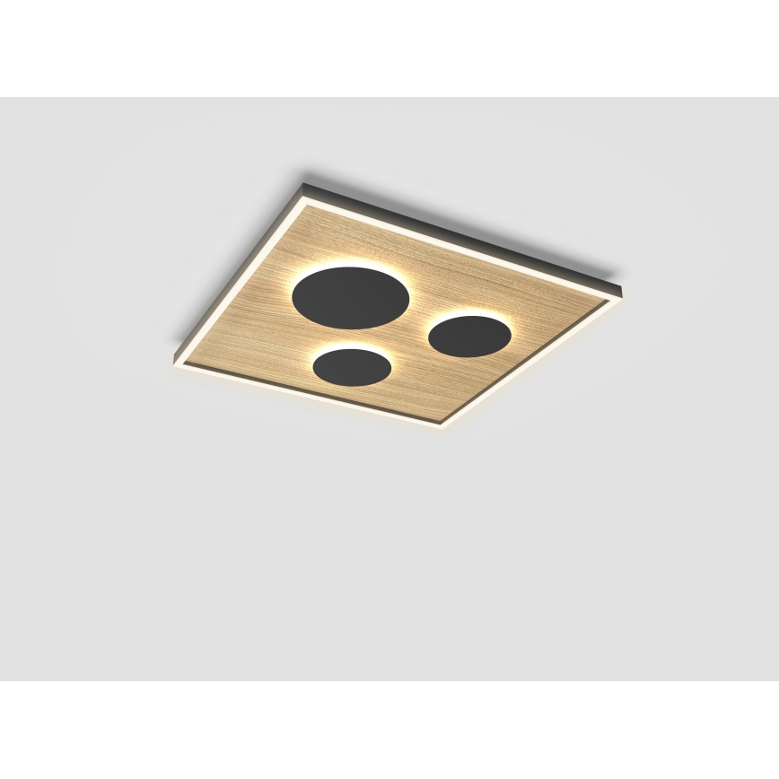Wofi 9012-306L - LED Dimmable φωτιστικό οροφής DIJON LED/40W/230V