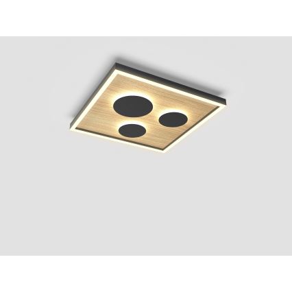 Wofi 9012-306S - Ρυθμιζόμενο LED οροφής φωτιστικό DIJON LED/26W/230V