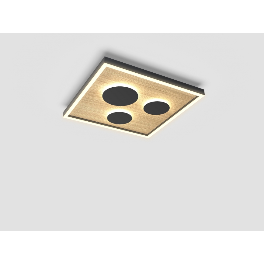 Wofi 9012-306S - Ρυθμιζόμενο LED οροφής φωτιστικό DIJON LED/26W/230V