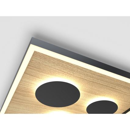 Wofi 9012-306S - Ρυθμιζόμενο LED οροφής φωτιστικό DIJON LED/26W/230V