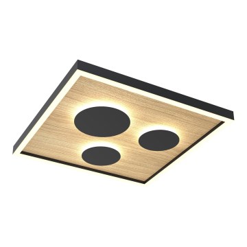 Wofi 9012-306S - Ρυθμιζόμενο LED οροφής φωτιστικό DIJON LED/26W/230V