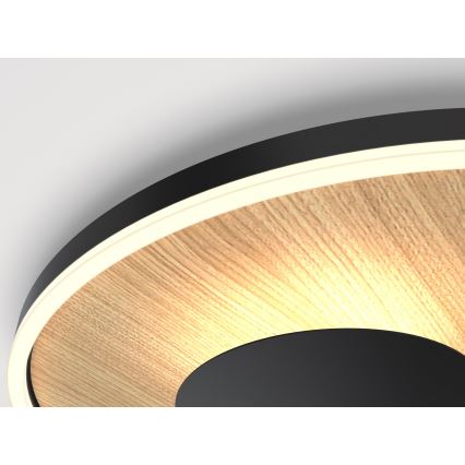 Wofi 9013-306S - Ρυθμιζόμενο LED οροφής φωτιστικό REIMS LED/26W/230V