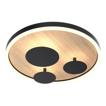 Wofi 9013-306S - Ρυθμιζόμενο LED οροφής φωτιστικό REIMS LED/26W/230V