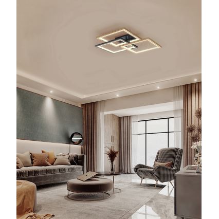 Wofi 9022-306S - LED Dimmable φωτιστικό οροφής MATERA LED/40W/230V