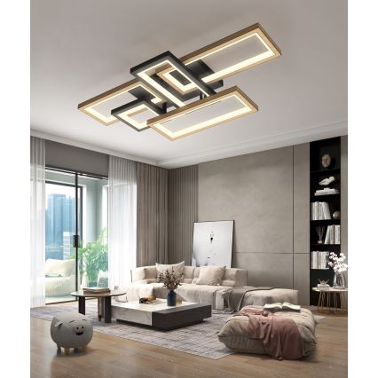 Wofi 9022-506 - LED Dimmable φωτιστικό οροφής MATERA LED/60W/230V