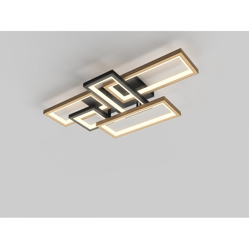 Wofi 9022-506 - Ρυθμιζόμενο LED φωτιστικό οροφής MATERA LED/60W/230V