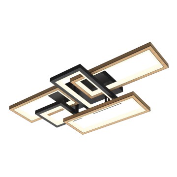 Wofi 9022-506 - Ρυθμιζόμενο LED οροφής φωτιστικό MATERA LED/60W/230V