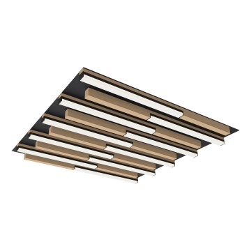 Wofi 9031-1006 - Ρυθμιζόμενο LED οροφής φωτιστικό PALERMO LED/40W/230V καουτσουκόδεντρο
