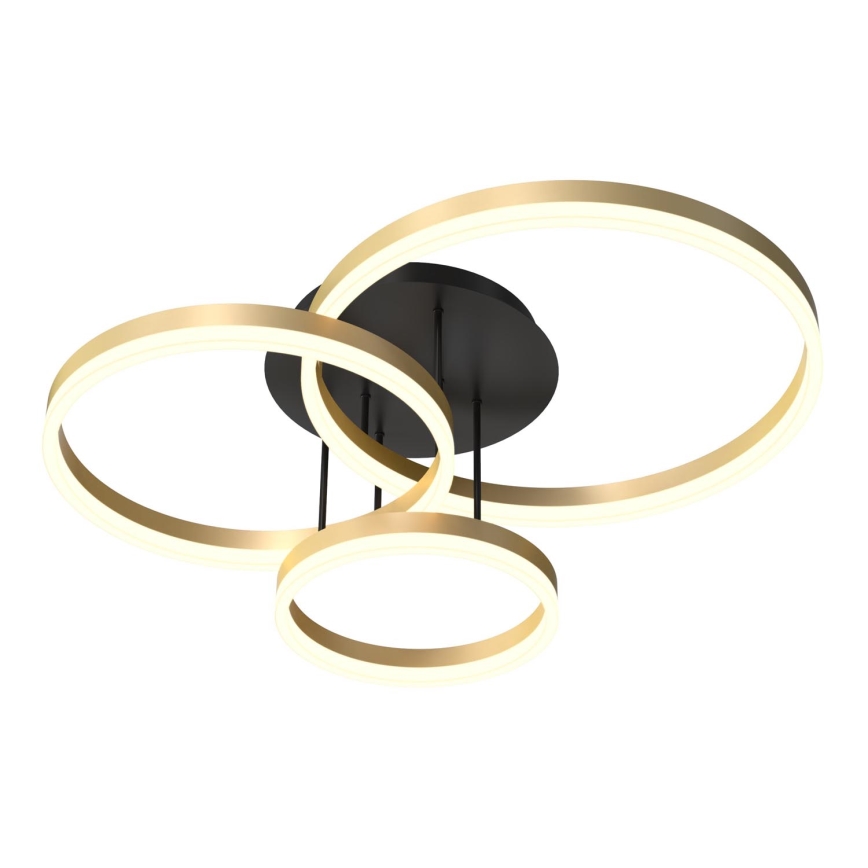 Wofi 9049-401 - LED Ρυθμιζόμενο φωτιστικό οροφής PERPIGNAN LED/51W/230V χρυσό