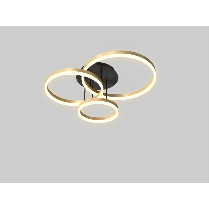 Wofi 9049-401 - Σταθερό πολύφωτο dimming LED PERPIGNAN LED/51W/230V χρυσαφί