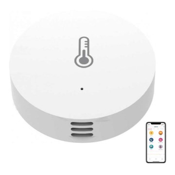 Xiaomi - Θερμόμετρο εξωτερικού χώρου MI 10,5dBm/CR2032 Bluetooth