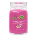 Yankee Candle - Μεγάλο αρωματικό κερί ART IN THE PARK 567 g 60–90 ώρες