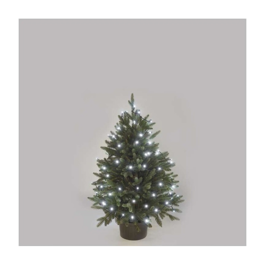 Γιρλάντα εξωτερικού χώρου LED 40xLED/9m IP44 ψυχρό λευκό