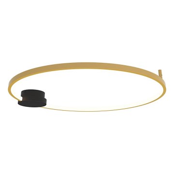 Zambelis 23097 - Ρυθμιζόμενο LED οροφής φωτιστικό LED/32W/230V 3000K διάμ. 80 εκ. χρυσό