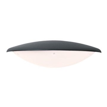 Zambelis E115 - Επιτοίχιο φωτιστικό εξωτερικού χώρου LED LED/6W/230V IP54 ανθρακί