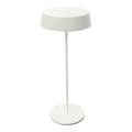 Zambelis E290 - Ρυθμιζόμενος εξωτερικός φωτισμός LED/2,2W/3,7V 2200 mAh IP54 λευκός