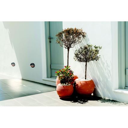 Zambelis E294 - Φωτισμός σκάλας εξωτερικού χώρου LED LED/2W/230V IP65 ανθρακί