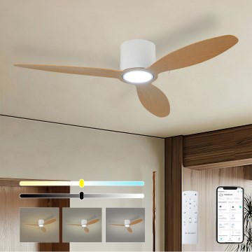 ZEVENTI - Ρυθμιζόμενος LED ανεμιστήρας οροφής VENTORA LED/24W/230V 3000/4000/6000K Wi-Fi Tuya λευκό/δρυς + τηλεχειριστήριο