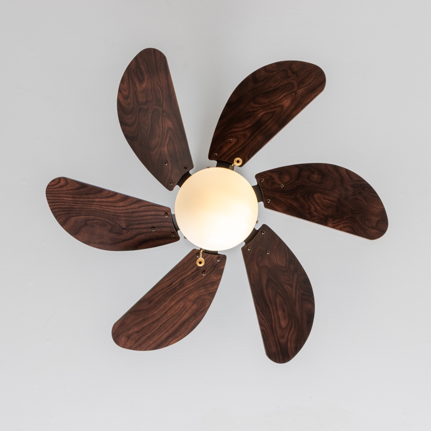 ZEVENTI - Ανεμιστήρας οροφής FAMARA 1xE14/60W/230V