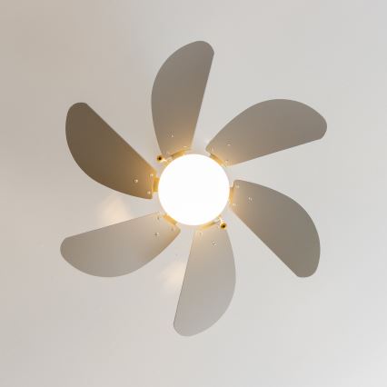 ZEVENTI - Οροφής ανεμιστήρας FAMARA 1xE14/60W/230V γκρι