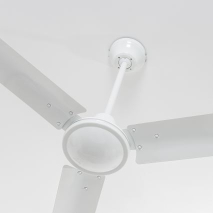 ZEVENTI - Οροφής ανεμιστήρας TOFINO λευκός