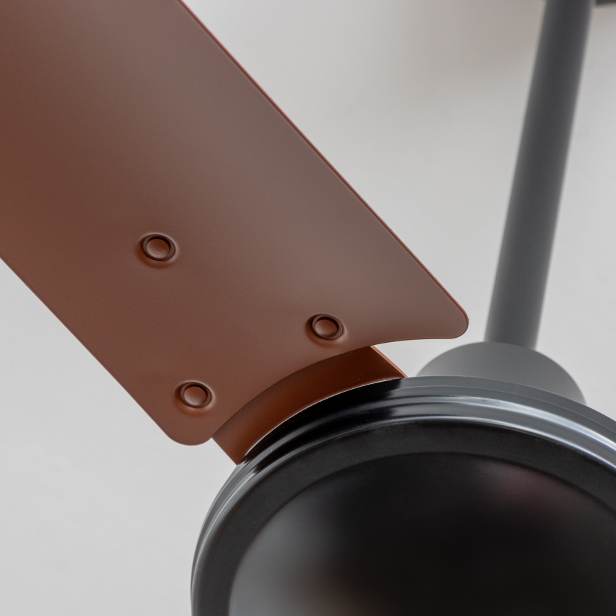 ZEVENTI - Οροφής ανεμιστήρας TOFINO καφέ