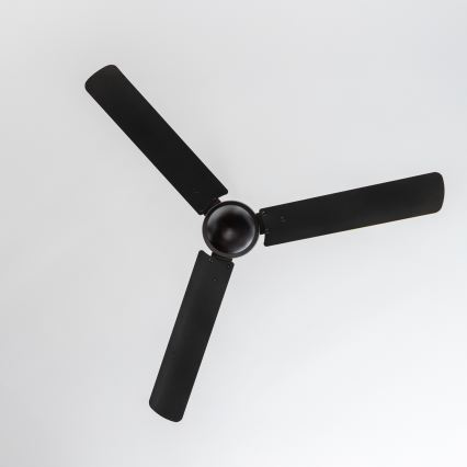 ZEVENTI - Οροφής ανεμιστήρας TOFINO μαύρο