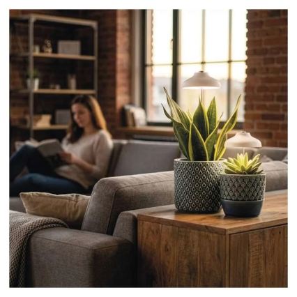 Εσωτερική LED λάμπα για καλλιέργεια φυτών GROW LED/5W/5V