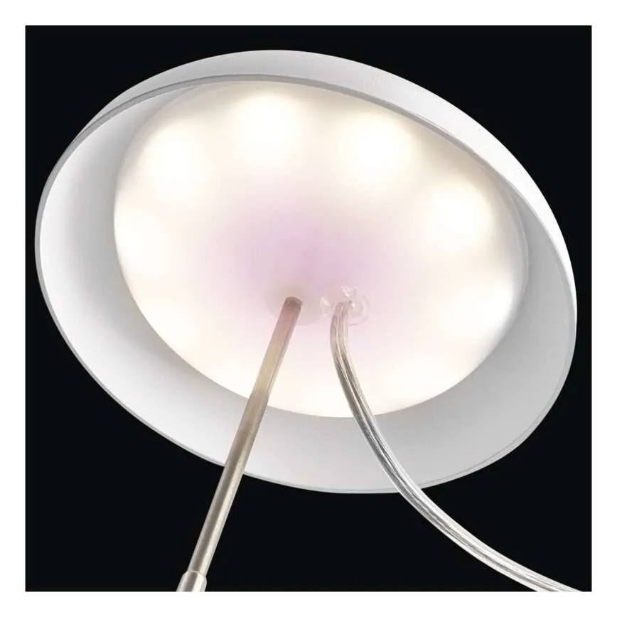 Εσωτερική LED λάμπα για καλλιέργεια φυτών GROW LED/5W/5V