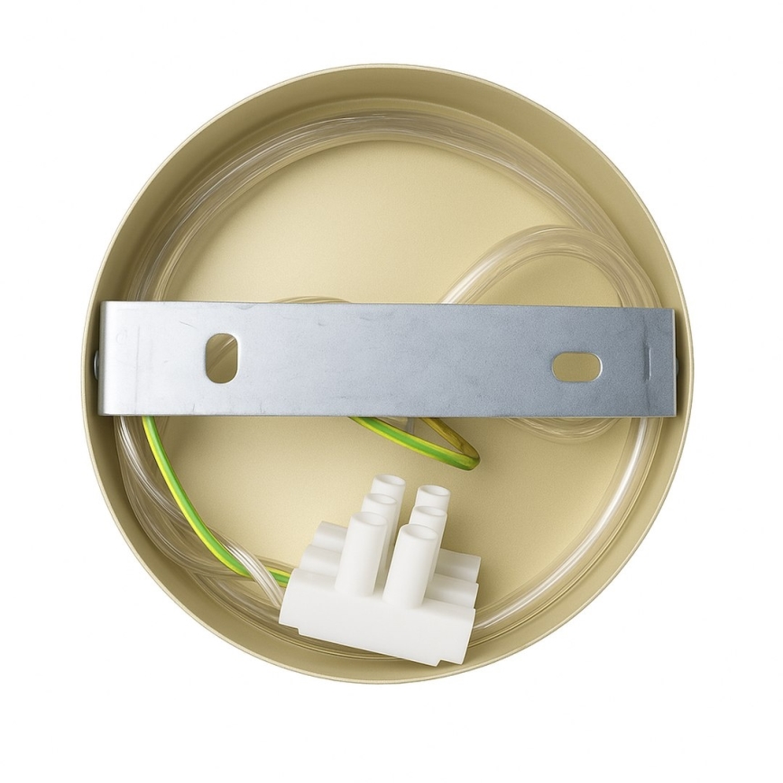 Επιτοίχιο φωτιστικό CAPITAL 1xGX53/15W/230V χρυσό