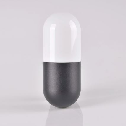 Επιτοίχιο φωτιστικό εξωτερικού χώρου HORTEN 1xE27/10W/230V IP44