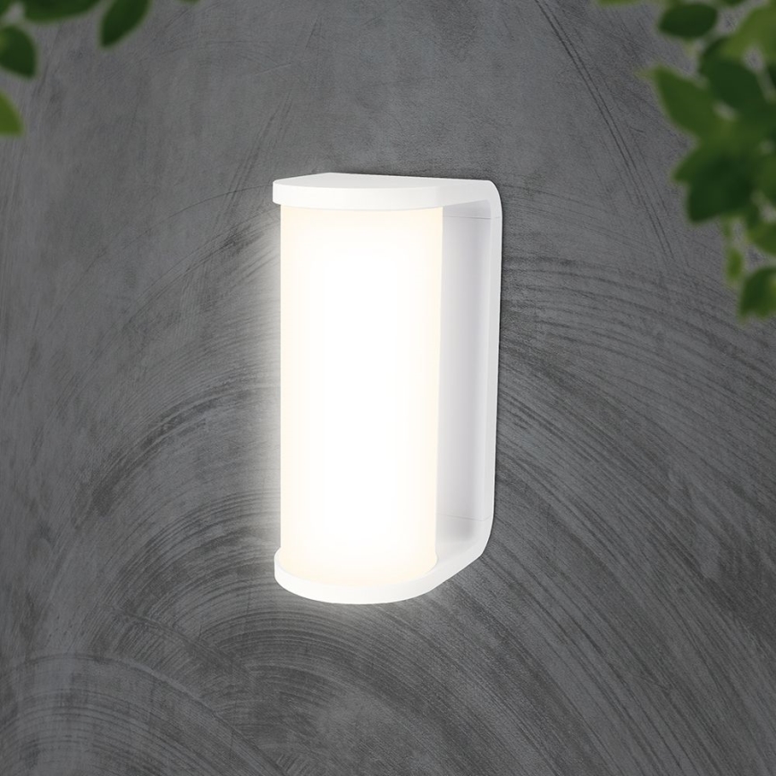 Επιτοίχιο φωτιστικό εξωτερικού χώρου LED LED/12W/230V 3000/4200/6500K IP65 λευκό