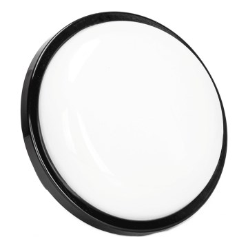 Επιτοίχιο φωτιστικό εξωτερικού χώρου LED LED/15W/230V 6500K διάμετρος 15,5 cm μαύρο IP65