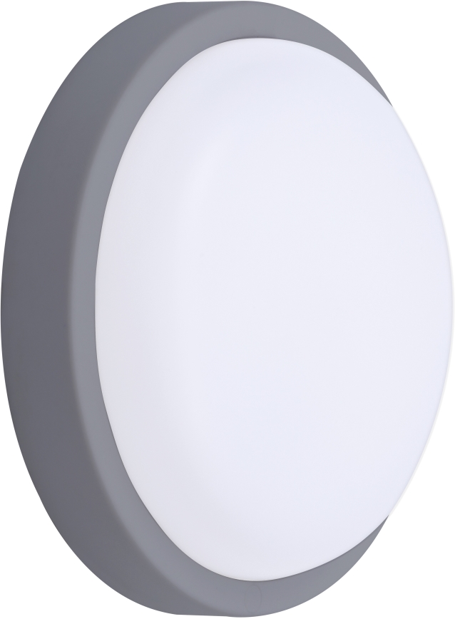 Επιτοίχιο φωτιστικό εξωτερικού χώρου LED LED/20W/230V 4000K IP54 γκρι στρογγυλό