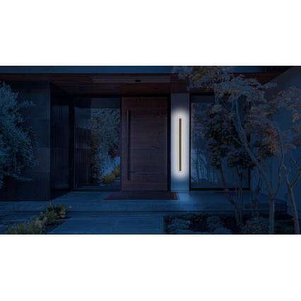 Επιτοίχιο φωτιστικό εξωτερικού χώρου LED STICK LED/12W/230V IP65 3000K 30 cm