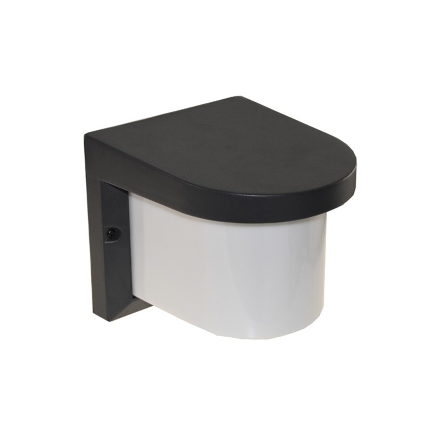 Επιτοίχιο φωτιστικό εξωτερικού χώρου PETUNIA 1xE27/60W/230V IP44 ανθρακί