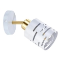Επιτοίχιο σποτ ELEN 1xE27/35W/230V, λευκό/χρυσό