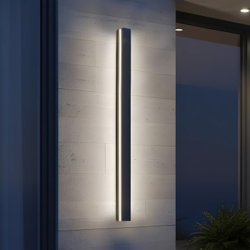 Επιτοίχιο εξωτερικό φωτιστικό LED MIRANA LED/25W/230V 4000K IP44 120 cm μαύρο