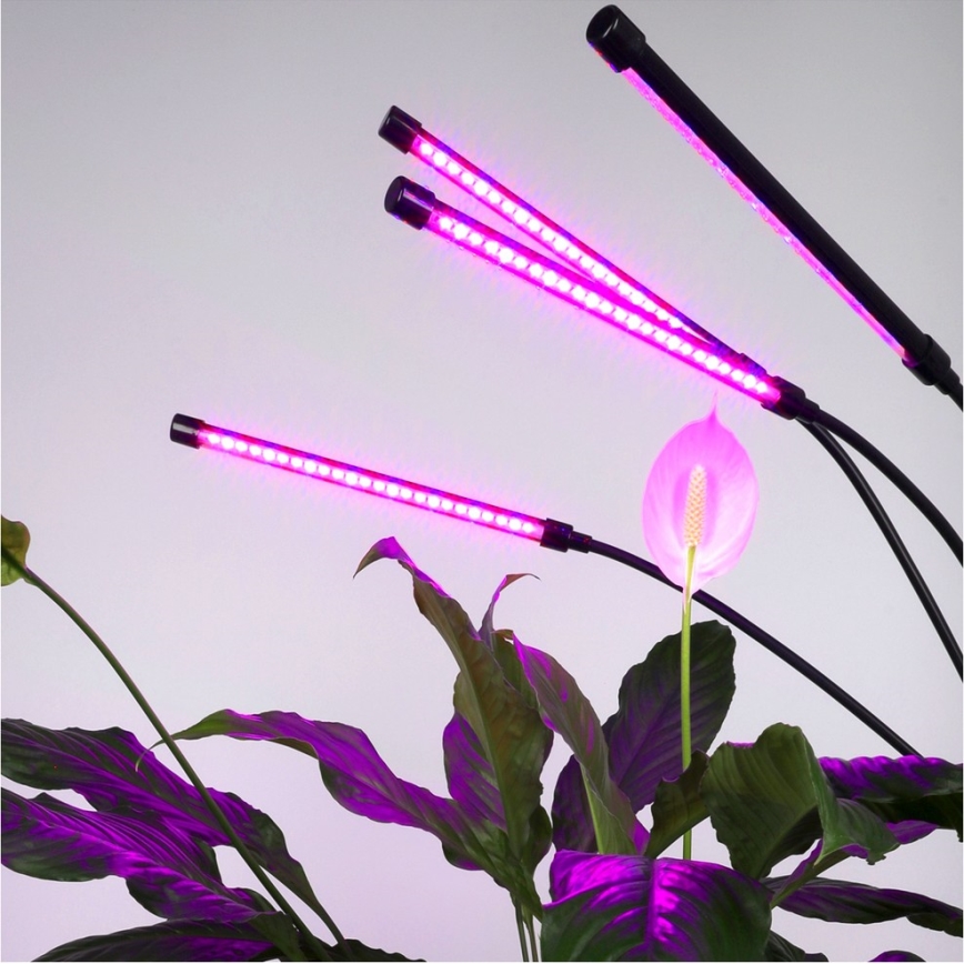 LED Dimming εύκαμπτο επιδαπέδια λάμπα για ανάπτυξη φυτών VITARO 4xLED/7,5W/230V μαύρο