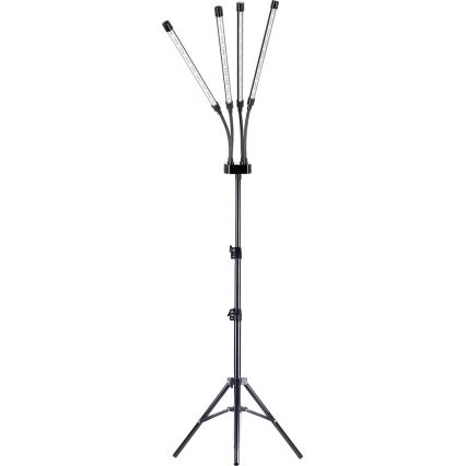 LED Dimming εύκαμπτο επιδαπέδια λάμπα για ανάπτυξη φυτών VITARO 4xLED/7,5W/230V μαύρο