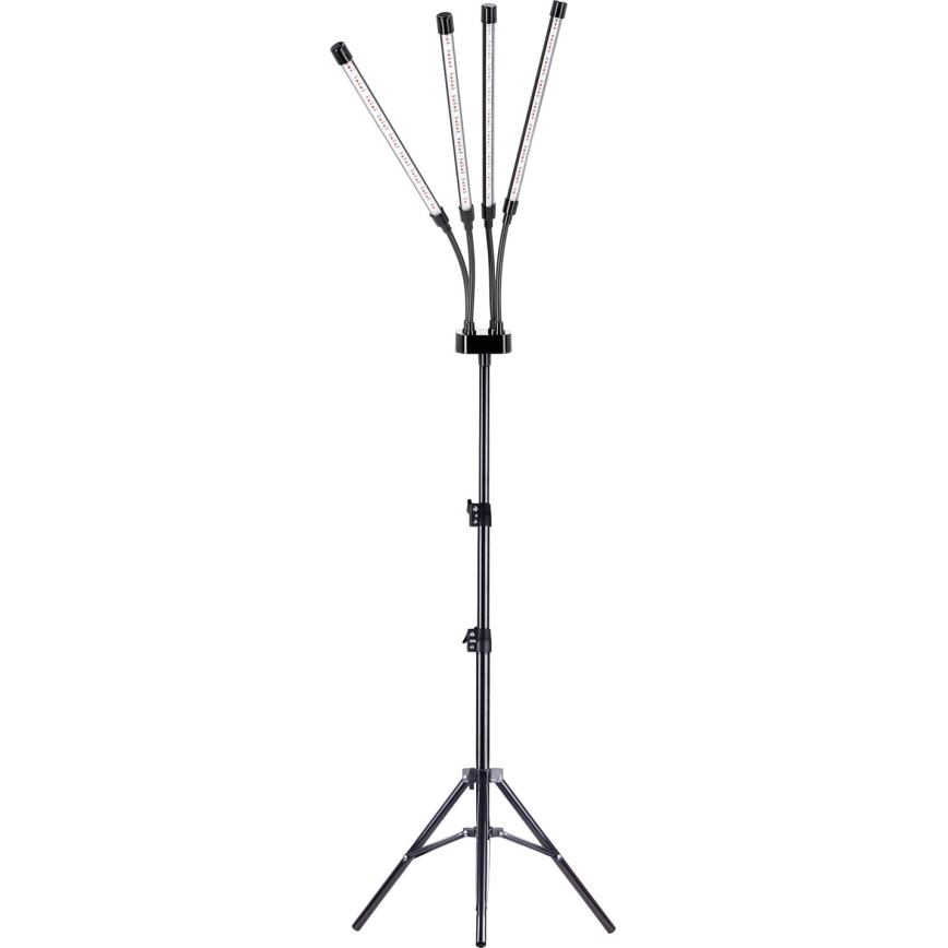 LED Dimming εύκαμπτο επιδαπέδια λάμπα για ανάπτυξη φυτών VITARO 4xLED/7,5W/230V μαύρο